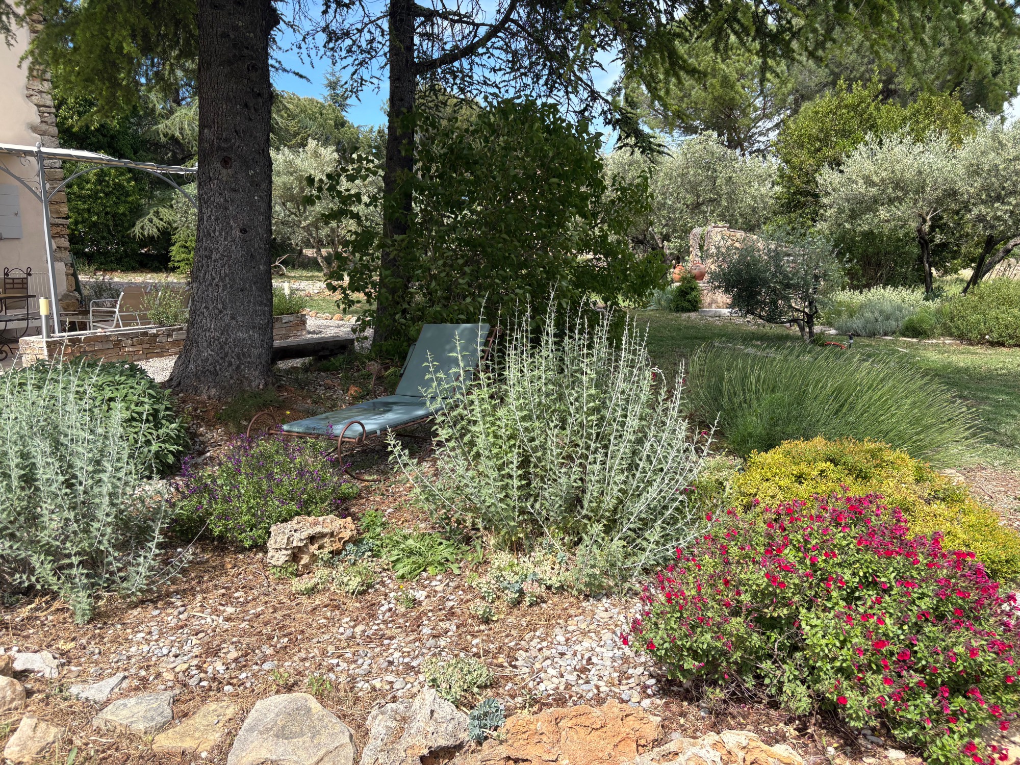 jardin
