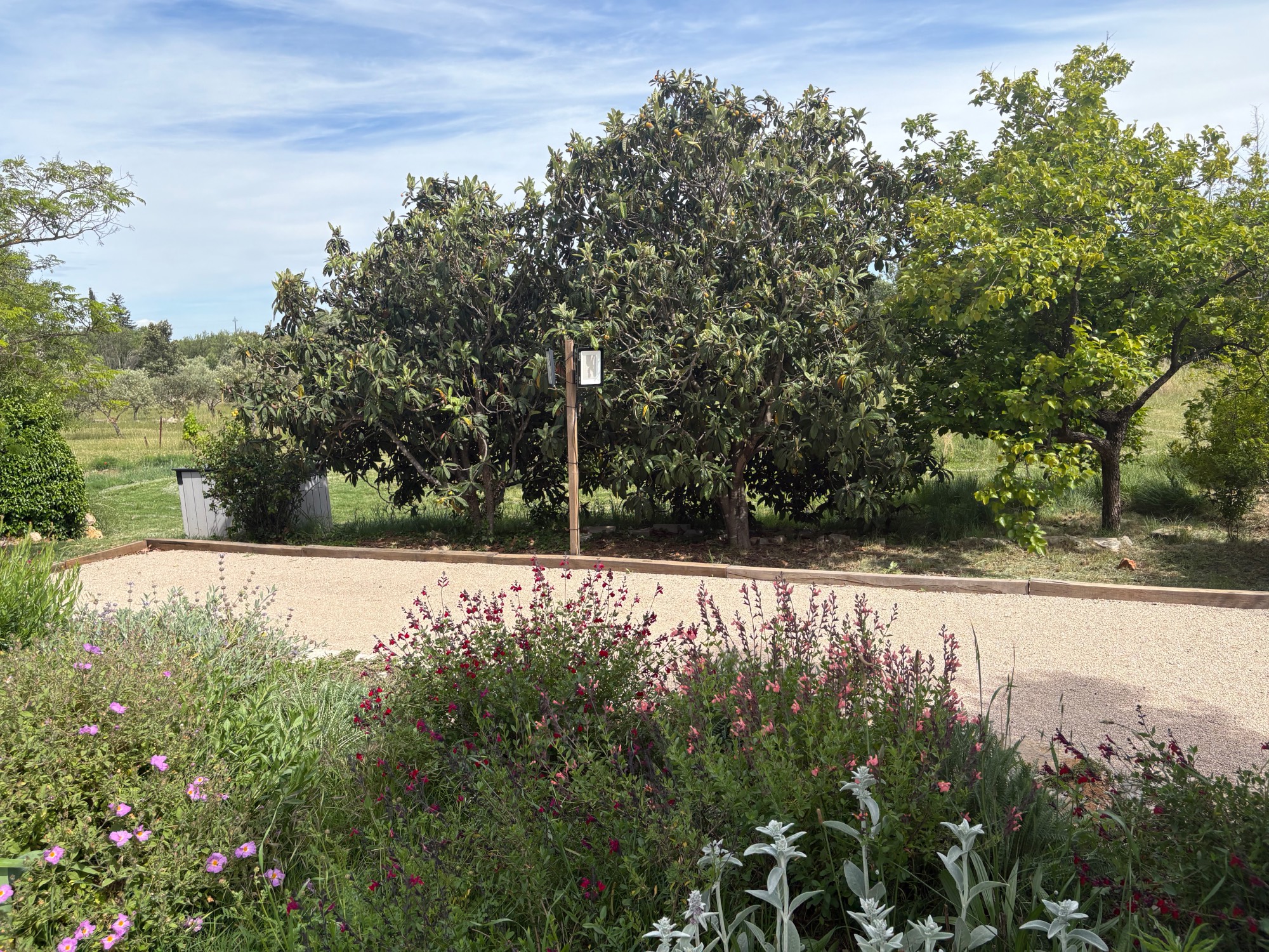 Terrain pétanque